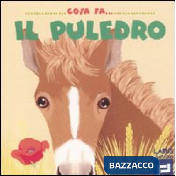 Cosa fa il puledro