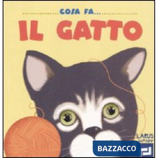 Cosa fa il gatto