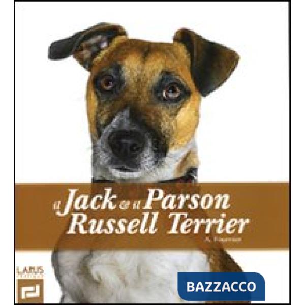 Jack & il Parson Russel Terrier (Il)