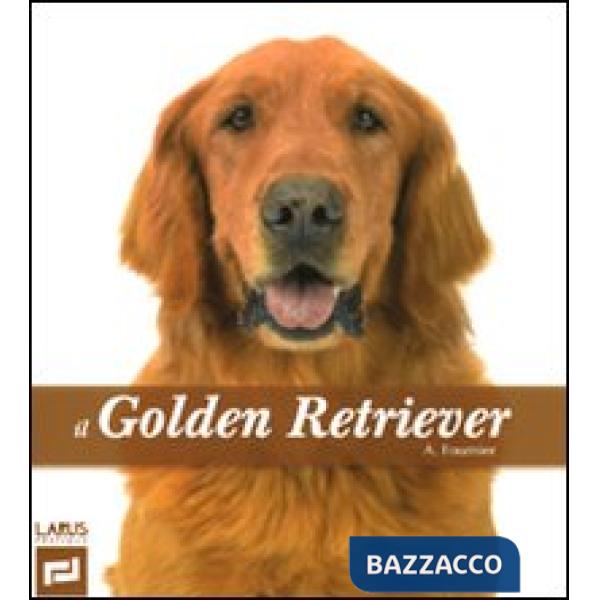 Golden retriever (Il)