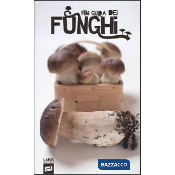 Mini guida dei funghi