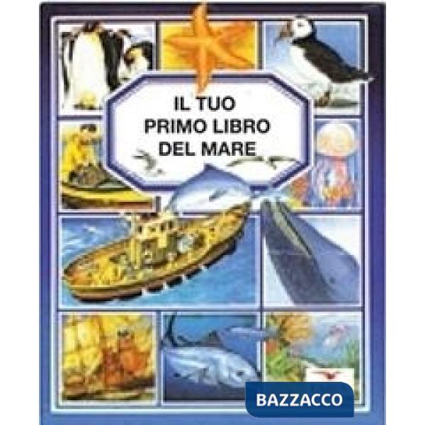 Tuo primo libro del mare (Il)