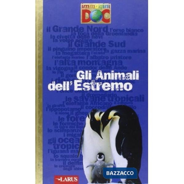 Animali dell'estremo (Gli)