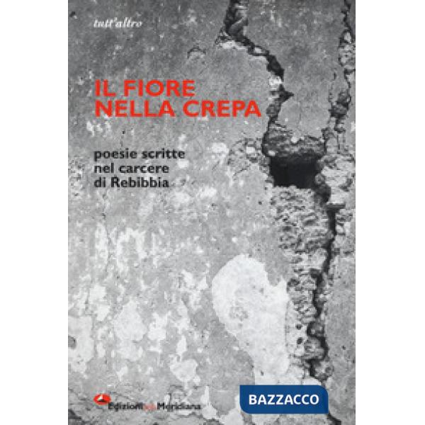 Fiore nella crepa. Poesie scritte nel carcere di Rebibbia (Il)
