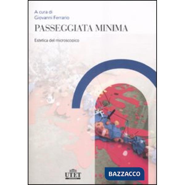 Passeggiata minima. Estetica del macroscopico