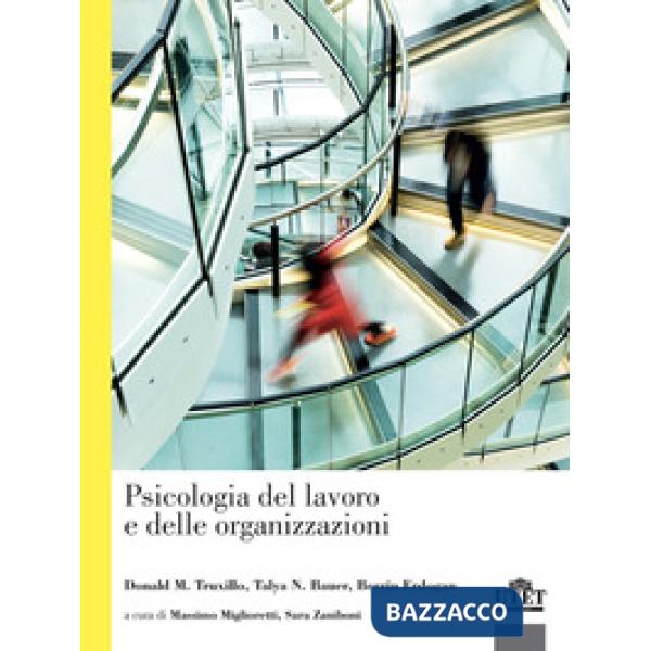 Psicologia del lavoro e delle organizzazioni