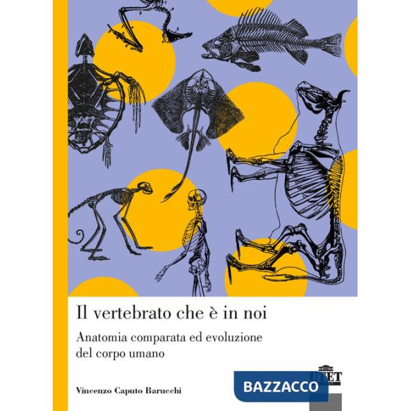 Vertebrato che è in noi. Anatomia comparata ed evoluzione del corpo umano (Il)