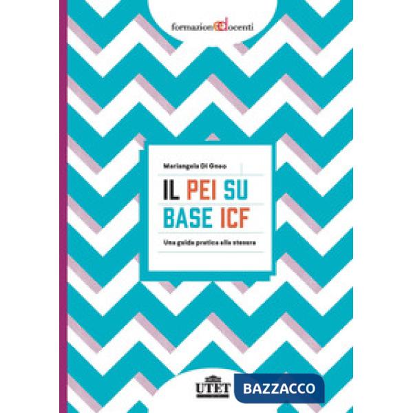 PEI su base ICF. Una guida pratica alla stesura (Il)