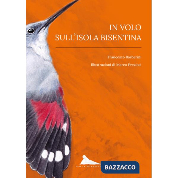 In volo sull'isola Bisentina