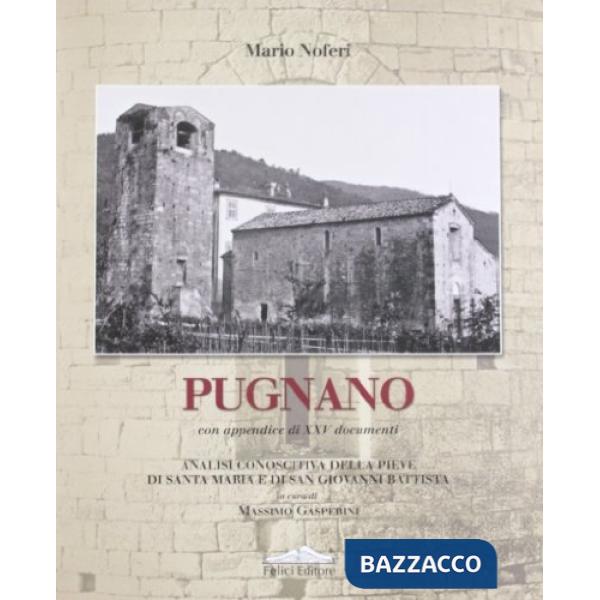 Pugnano. Analisi conoscitiva della pieve di Santa Maria e di San Giovanni Battis