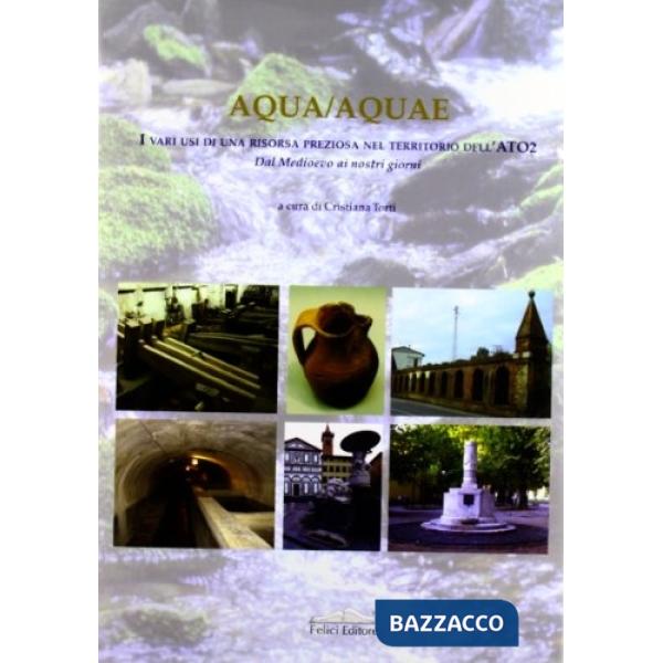 Aqua/aquae. I vari usi di una risorsa preziosa nel territorio dell'Ato2. Dal Med