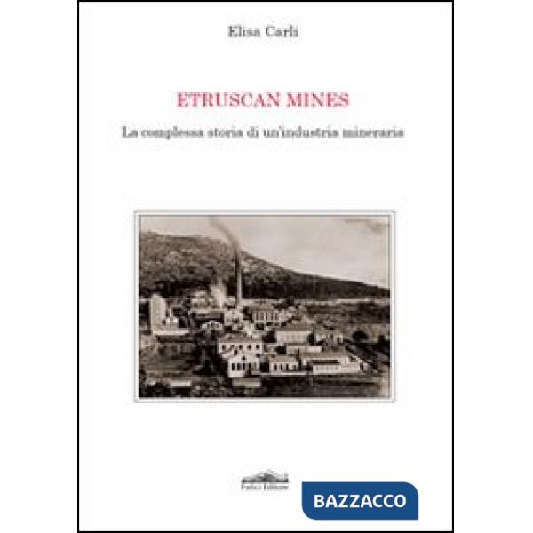Etruscan mines. La complessa storia di un'industria mineraria