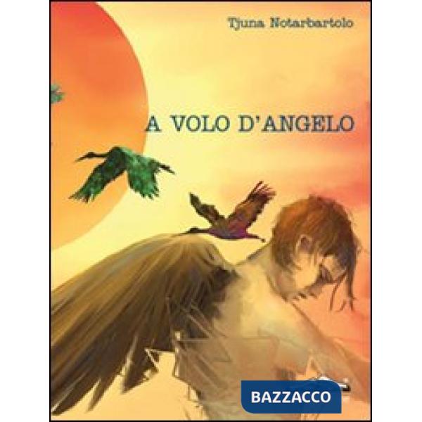 A volo d'angelo
