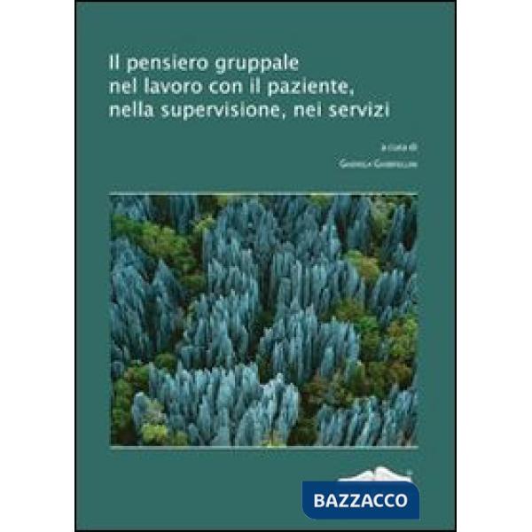 Pensiero gruppale nel lavoro con il paziente, nella supervisione, nei servizi (Il)