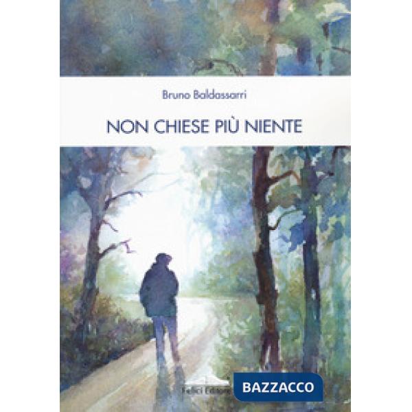 Non chiese più niente