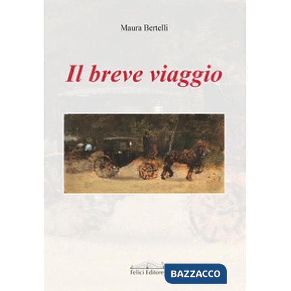 Breve viaggio (Il)
