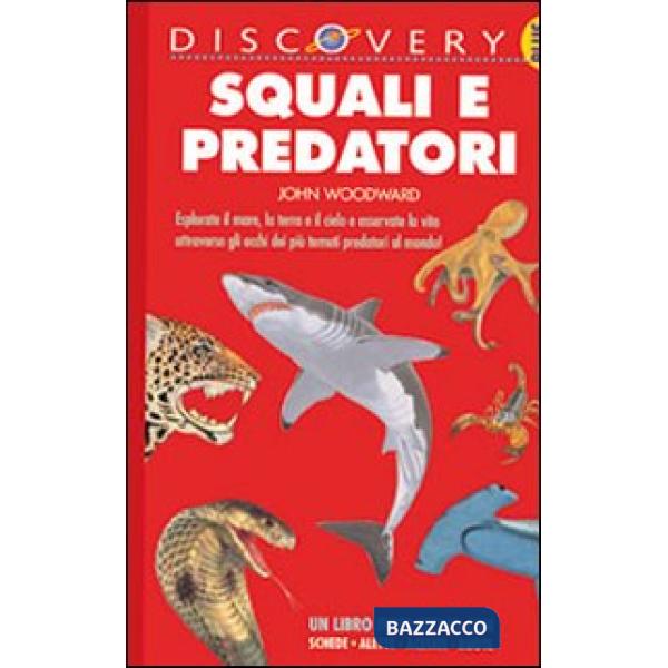 Squali e predatori. Ediz. illustrata