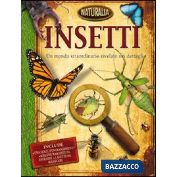 Insetti