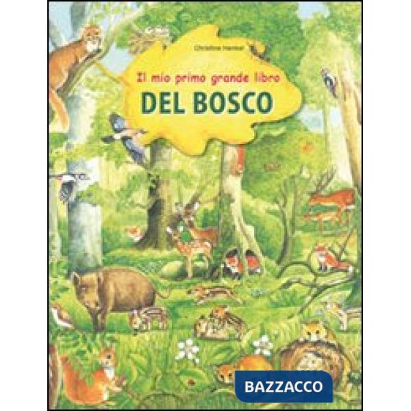 Mio primo grande libro del bosco. Ediz. illustrata (Il)