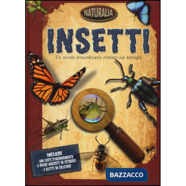 Insetti. Ediz. illustrata