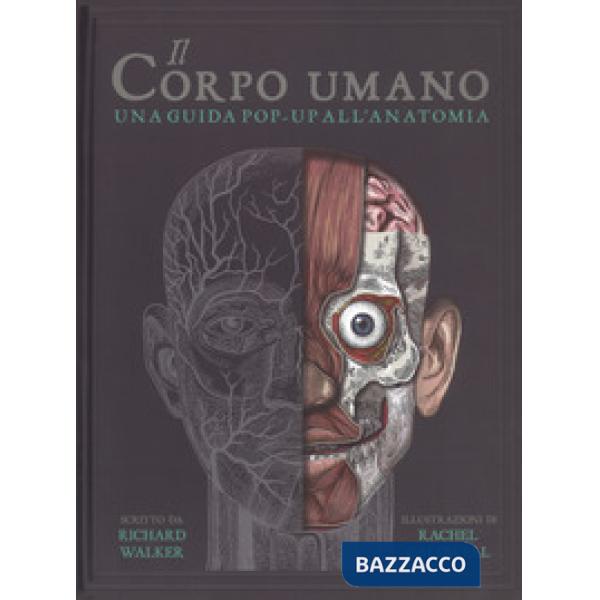 Corpo umano. Una guida pop-up all'anatomia (Il)