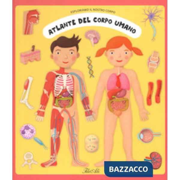 Atlante del corpo umano. Esploriamo il nostro corpo