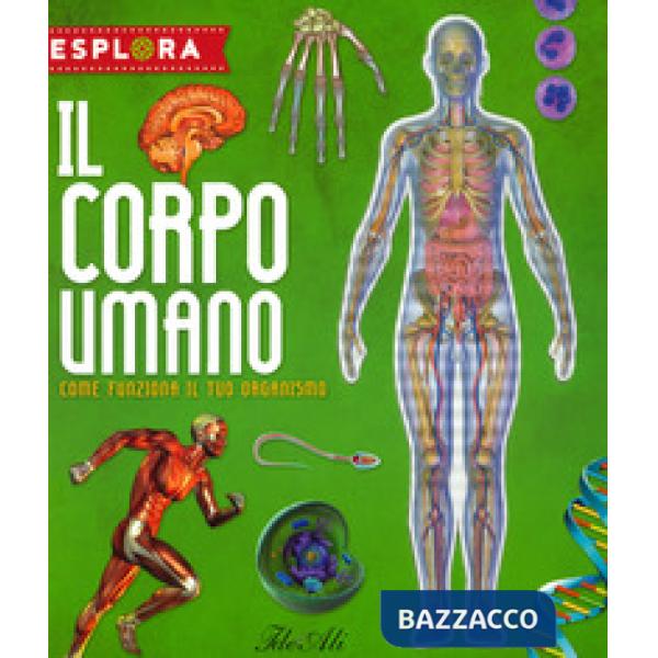 Corpo umano. Come funziona il tuo organismo. Esplora. Ediz. a spirale. Con Adesivi. Con Poster (Il)
