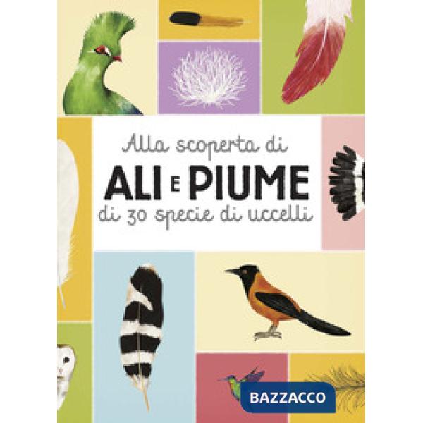 Alla scoperta di ali e piume di 30 specie di uccelli