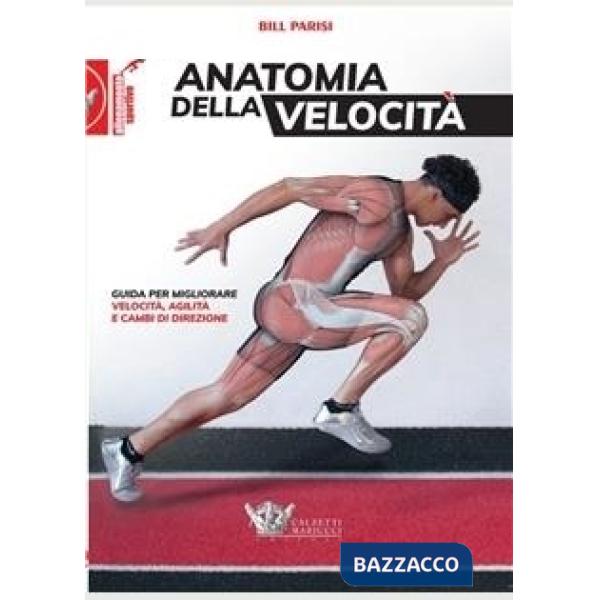 ANATOMIA DELLA VELOCITA'