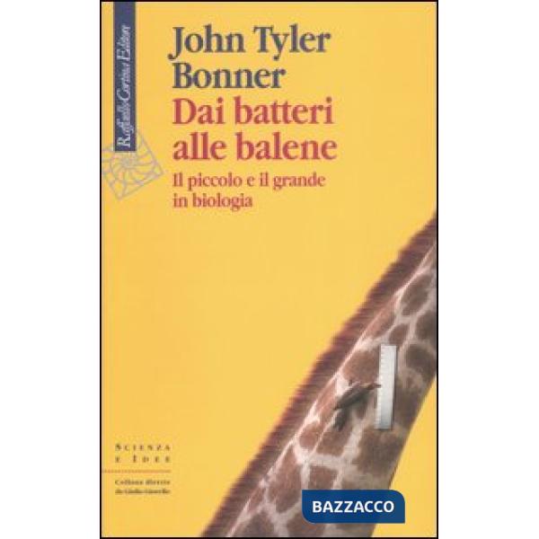 Dai batteri alle balene. Il piccolo e il grande in biologia. Ediz. illustrata
