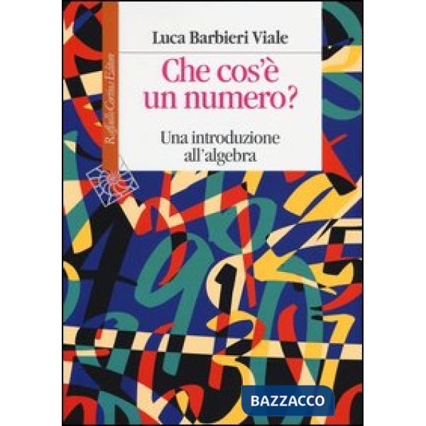 Che cos'è un numero. Un'introduzione all'algebra