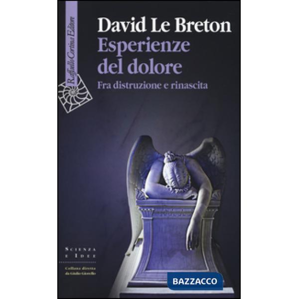 Esperienze del dolore. Fra distruzione e rinascita