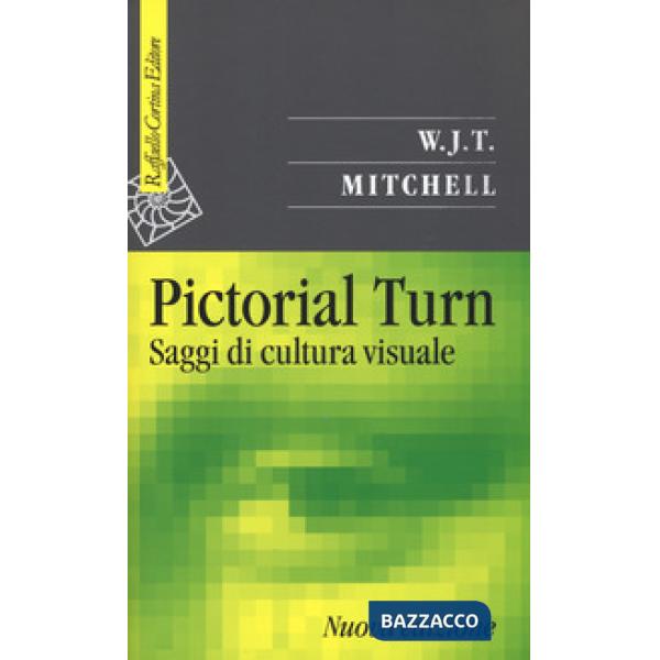 Pictorial turn. Saggi di cultura visuale
