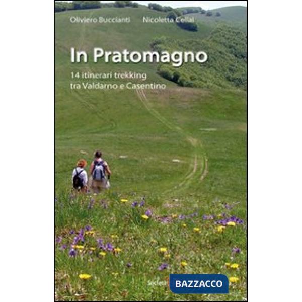 In Pratomagno. 14 itinerari trekking tra Valdarno e Casentino