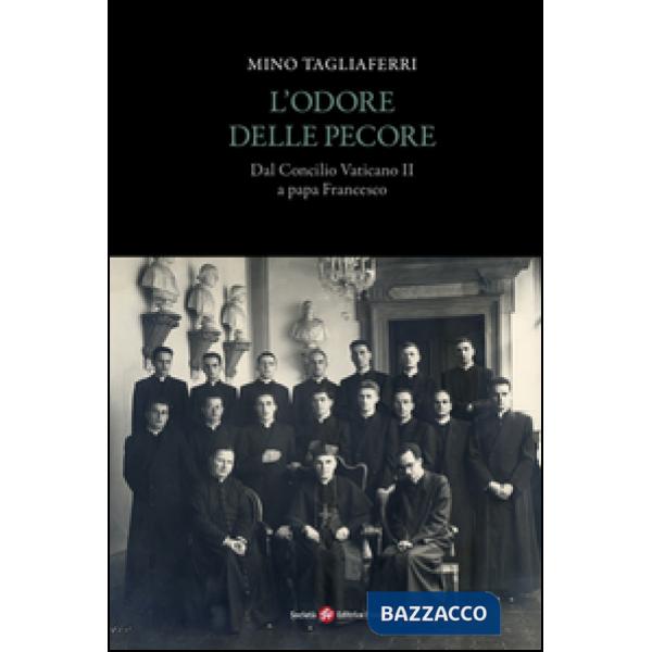 Odore delle pecore. Dal Concilio Vaticano II a papa Francesco (L')