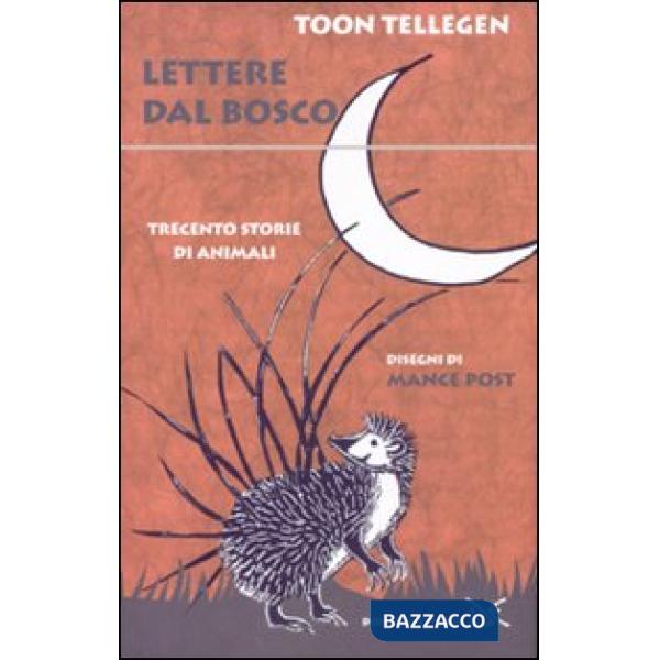 Lettere dal bosco. Ediz. illustrata