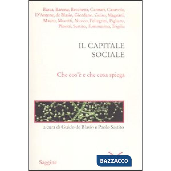 Capitale sociale. Che cos'è e che cosa spiega (Il)