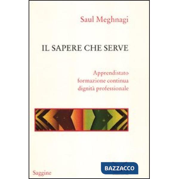 Sapere che serve. Apprendistato, formazione continua, dignità professionale (Il)