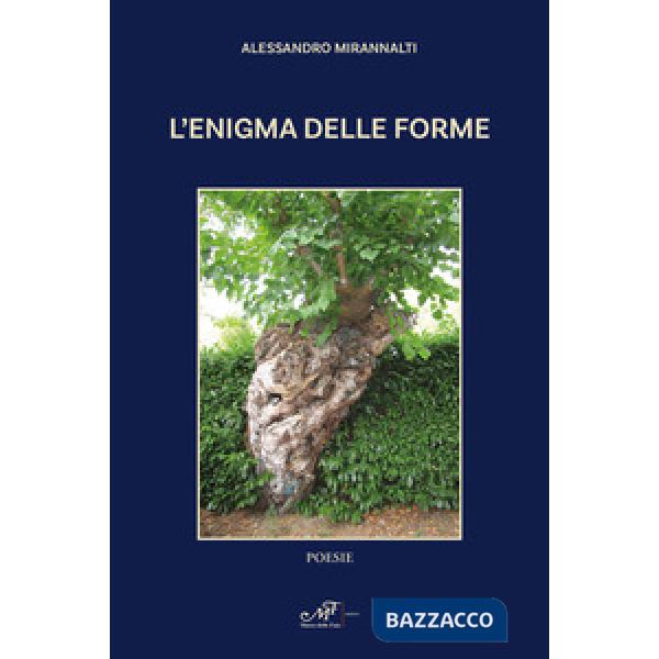 Enigma della forma (L')