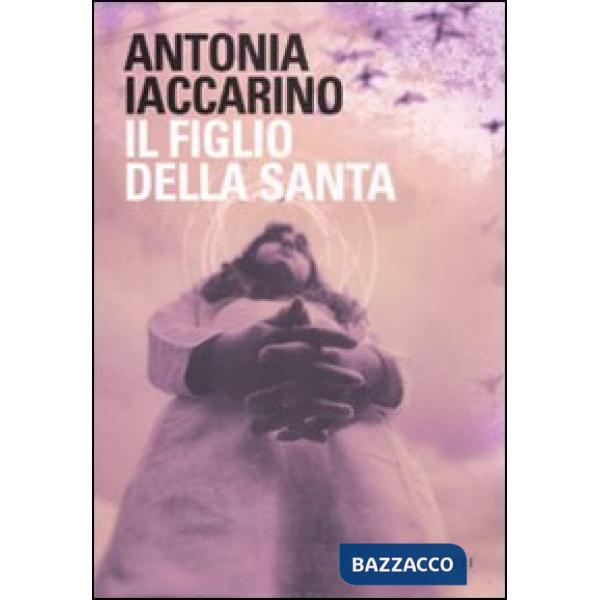 Figlio della santa (Il)