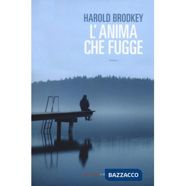 Anima che fugge (L')