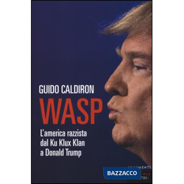 WASP. L'America razzista dal Ku Klux Klan a Donald Trump