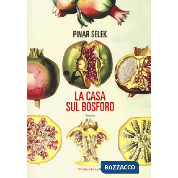 Casa sul Bosforo (La)