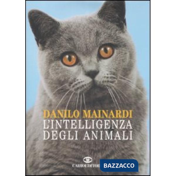 Intelligenza degli animali (L')