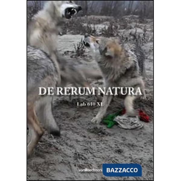 De rerum natura. Ediz. illustrata