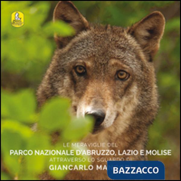 Meraviglie del parco nazionale d'Abruzzo, Lazio e Molise attraverso lo sguardo d