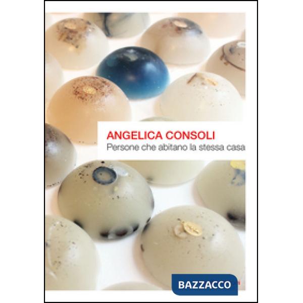 Angelica Consoli. Persone che abitano la stessa casa. Ediz. illustrata