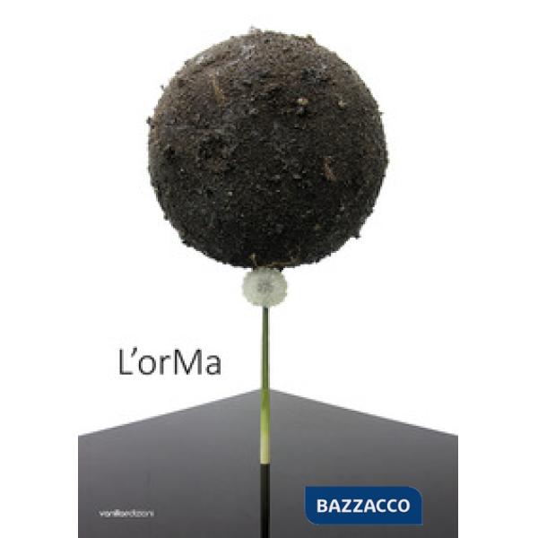 OrMa. Alla ricerca della sorprendente bellezza. Ediz. a colori (L')