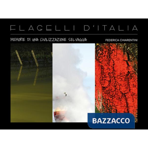 Flagelli d'Italia: memorie di una civilizzazione selvaggia