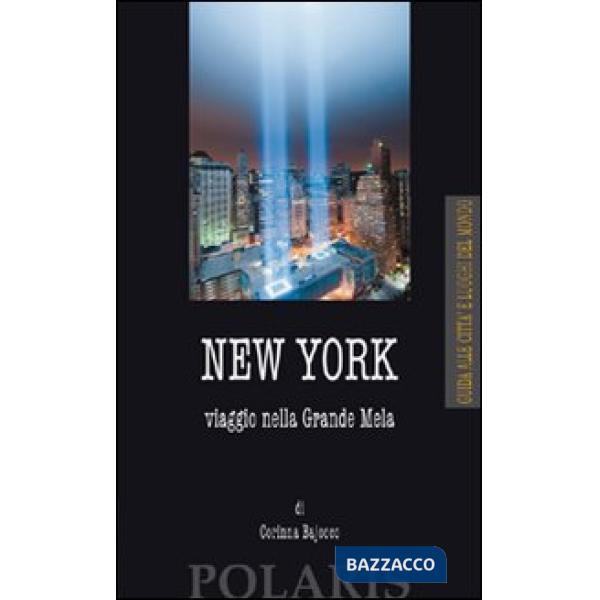 New York. Viaggio nella Grande Mela